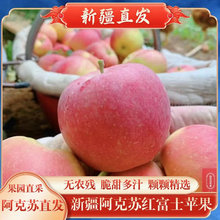 新疆阿克苏红富士苹果新鲜水果当季孕妇水果2025现摘早熟苹果整箱
