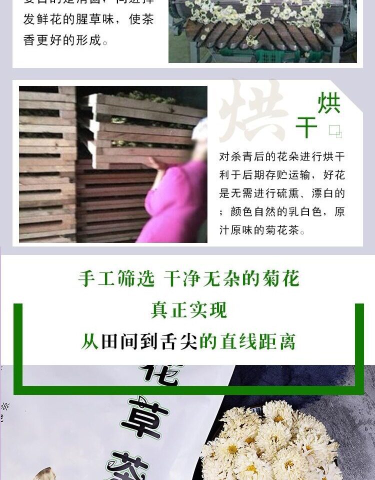 Chrysanthemum Tea Loose Dried Flowers Ju Hua 500g Bulk Bag Sugar Free Herbal Infusion quality and texture