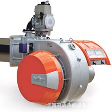 ���������BALTUR�ٵ�ȼ���C�ɶλ����ȼ����BTG6P