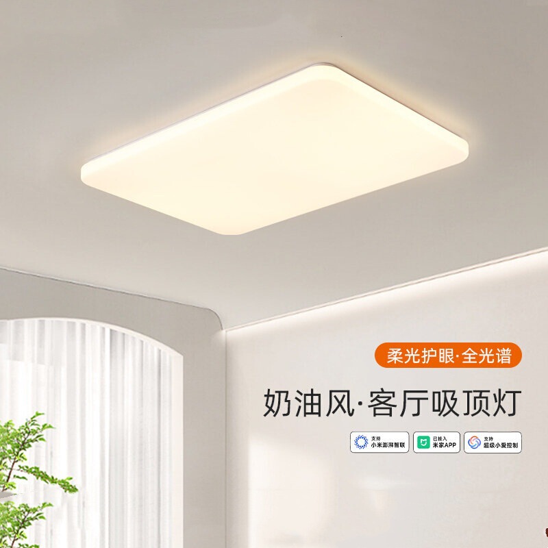 Already Connected to Mijia App Smart Ceiling Light High-Brightness Led Purui Full-Spectrum Young People's Bedroom Balcony Special Light Already Connected to Mijia App Smart Ceiling Light High-Brightness Led Purui Full-Spectrum Young People's Bedroom Balcony Special Light