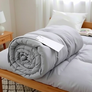 New Silk Silk Quilt 100 Silk Double Palace Squeezed Silk Quilt Core Wholesale Silk Quilt Cool Summer Quilt Spring and Autumn Quilt
