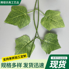 ����Gֲ�ٗl�����٘��~�L�������ϻ����������~�Gɫ������