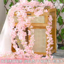 ���涡�㻨�ٷ������_�m���m�ڒ컨���ٻ����ٗl������c�bٻ�