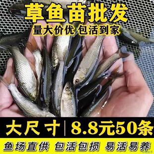 ���~����w�Bֳ���~�ش�Ҏ������~��ˮ