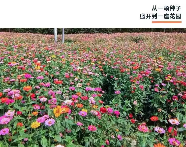 O1CN014eJlOI1d6hDXfPThY_!!2216