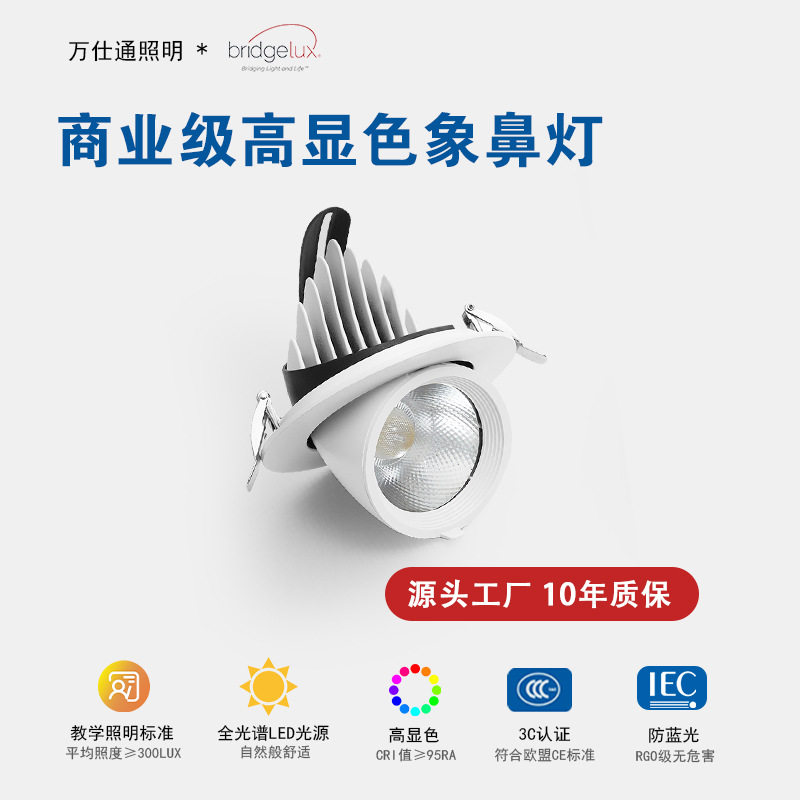 High Chroma Anti-Glare Clothing Store Rhinoceros LED Embedded Spotlight Commercial Shop Showroom COB Concentrated Ceiling Lamp