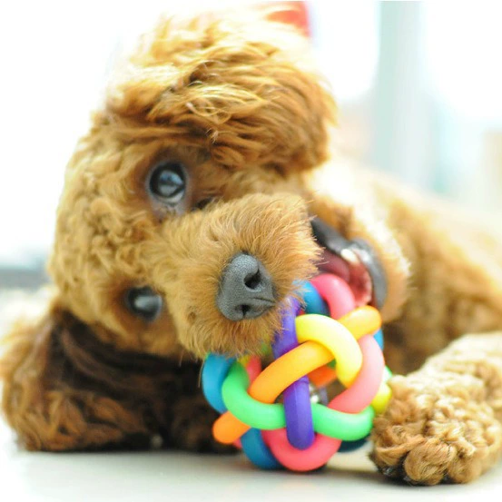 Красочный Плетеный Колокольчик Мяч Домашнее Животное Кошка Собака Цвет Плетеный Эластичный Голосовой Игрушка Мяч Устойчивый к Укусам Молярная Игрушка Эластичный Мяч