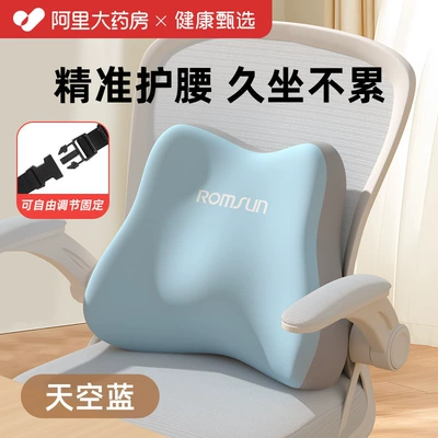 Waist support, Cushion Seat Backrest for Long - adjustable-strap-style-sky-blue
