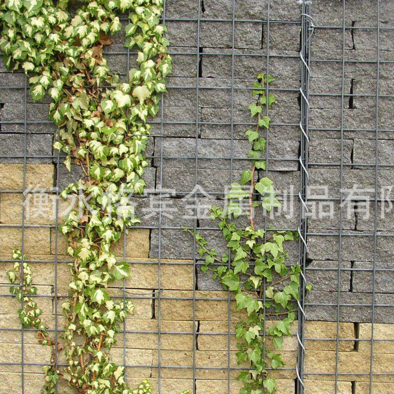 钢筋网片墙体加固矿用金属 建筑施工镀锌铁丝水泥钢筋网片 阿里巴巴 