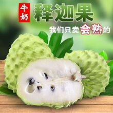 ţ����ȹ�������Ҋˮ������֦Ħ��������P����ȹ�С��������]