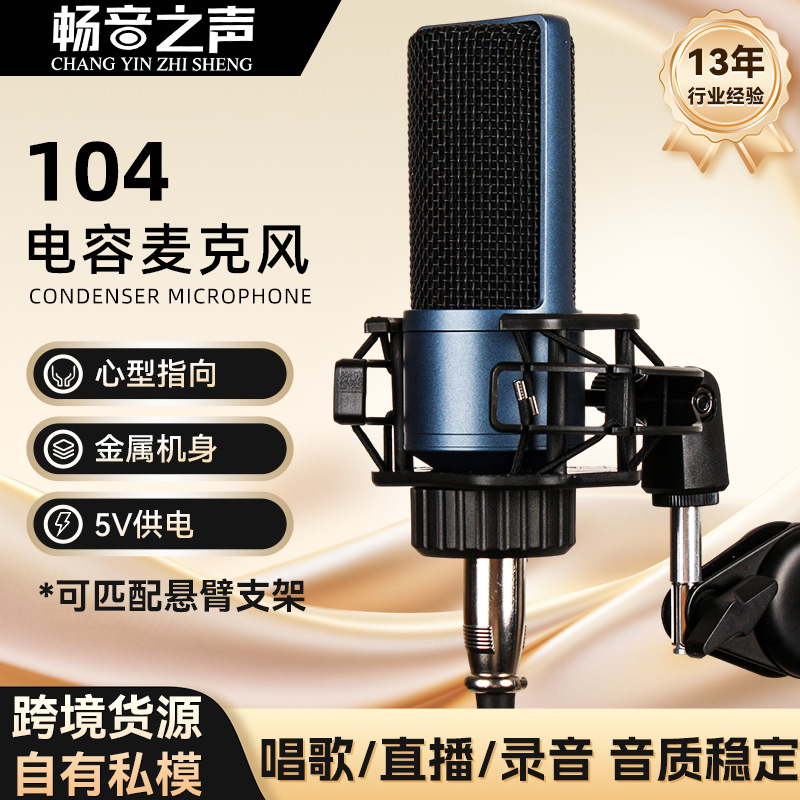 Private Model Condenser Microphone Recording Mobile Phone Douyin Kuaishou Live Broadcast Equipment Set Computer Desktop Microphone