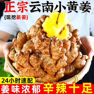 �����С�S���Ͻ��������r�S�������F���ӽ��۽��r���۽�10����]