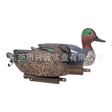 Сˮ�� �x�� �羳ֱ�N �ۯB�Գ�ʽ���C�T�D�� ����@�־��^�[����