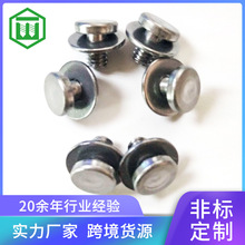 304�����ʵ�Ĺ�涤ƽ��װ�β��������ƹ̶�ƽ�������˿��M4*6