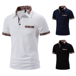 2025�羳���R�d��ʿƴɫ���I����T�������ļ��������e������POLO