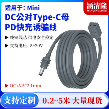 ���R�d����Mini dc�Dtypec���L��dc5521�Դ��typecĸ�^pd�T�_��