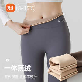 大码小个子打底裤加绒加厚女外穿秋冬2023新款保暖鲨鱼芭比裤薄绒