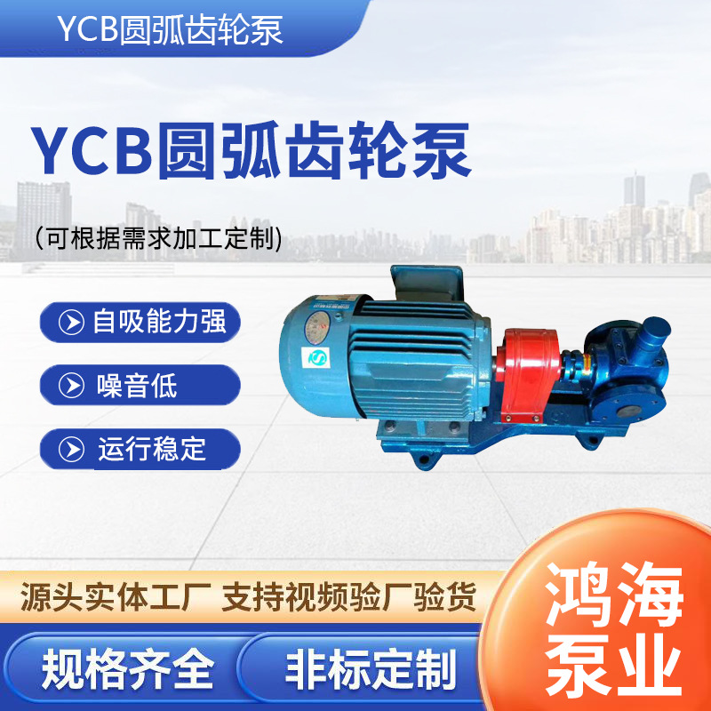 YCB-6圆弧齿轮泵燃油润滑油输送泵 防爆齿轮泵大流量汽柴油齿轮泵