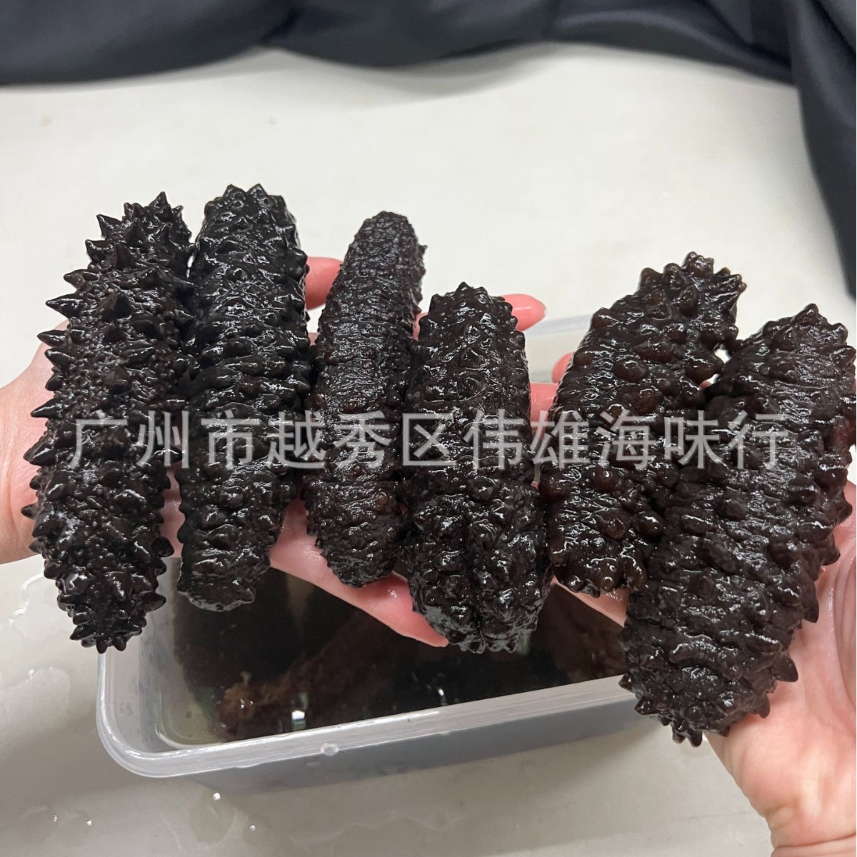 带刺土耳其海参 深海希腊米刺参黑刺参 足干淡干海参干货30-300头