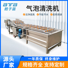 果蔬清洗设备当归 人参去泥沙气泡清洗机高压喷淋去污