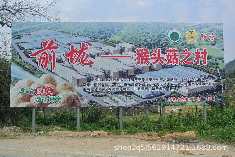 阿里猴头菇详情01.jpg