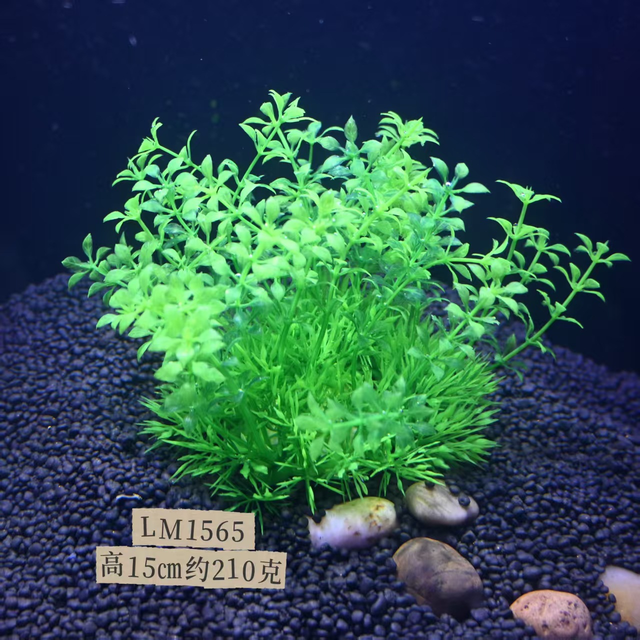 Acuario Decorativo — Césped Artificial y Plantas Acuáticas Plásticas (Fábrica)