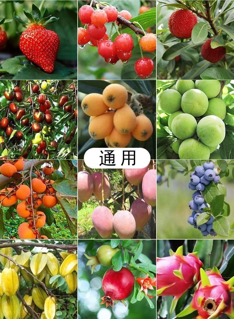 4af846fc-a4fc-42ba-bc35-a7bacea4e9fa.jpe