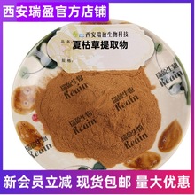 夏枯草提取物 水溶西安瑞盈夏枯草粉棕色专业提取1kg起量大议价