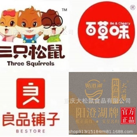 重庆大松鼠团购集采专用链接  非指定勿拍~ 正品保障！