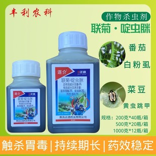 �������6%��&middot;��x�߷��Ѱ׷�ʭ�˶��S�l�����r���rș���x��