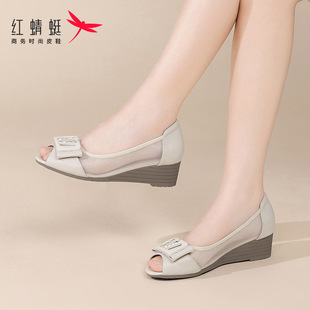 �t����ŮЬ�ļ��W����ЬŮ��Ƥ͸��ָ��\�ڹ���ЬСƤЬ�U�Ն�Ь