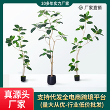 客厅盆栽仿真绿植室内装饰植物奢橡皮树孟加拉榕落地摆件假绿植