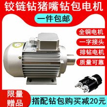 木工钻包猪嘴电机多孔排钻机电机排钻机械配件铰链机电机铜线