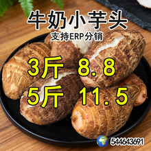 ���ţ�����^С����5�����rë���^�F���r���ԷN������ܵܛŴ�߲�