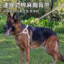 ���ر����д���Ȯ����ʽ�����K�������������ë�޹��ױ�����Ó