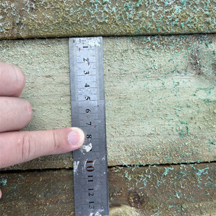 �����ľ�������ľ����Ž�ľ��ľ�ݛ�ͤ���� ����崲��ľ��