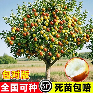 �������޽Ӷ������Թ�����箔��Y�������Ϸ��󗗳����ش�ͥԺ