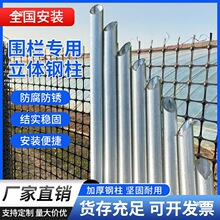 尖头热镀锌钢管围栏立柱杆加厚Y角钢防锈方管爬藤架支撑杆围栏网