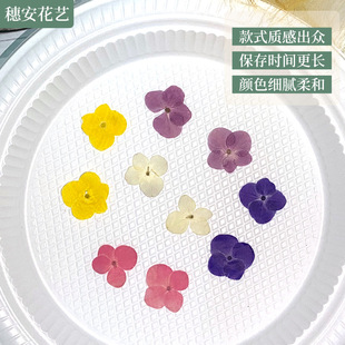 Wholesale dyed round hydrangea dried flower material bag manual drop glue mobile phone case real diy material bag dried flower embossing