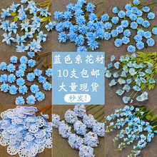 10֦�b�{ɫ���滨�Ļ�c����·���廨�����b�ˇ��Y�ٻ��{ɫϵ