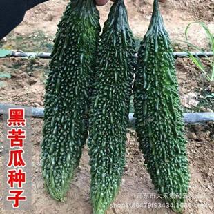 �������ϷN�Ӹ���ڿ�ϷN��ī�G���̨���ļ������·N������