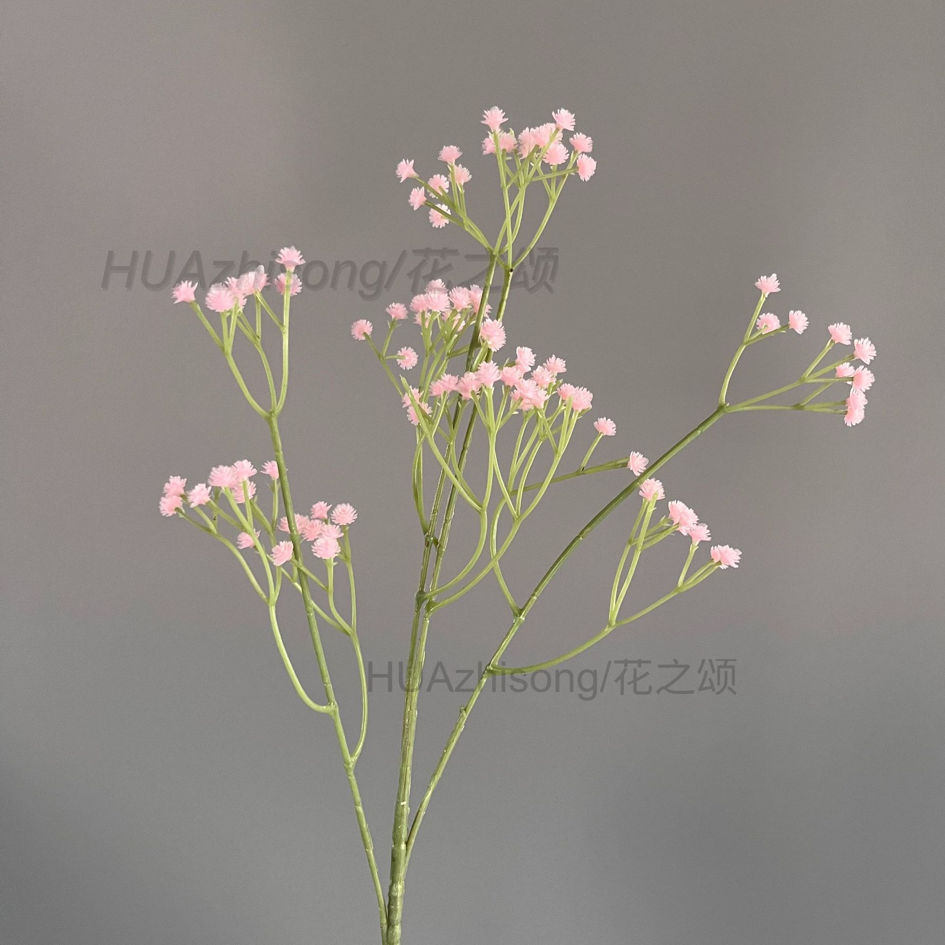 연꽃색