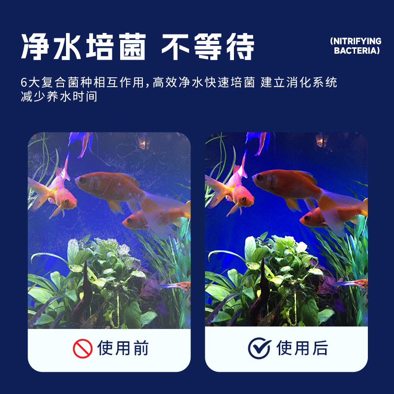 硝化細菌溶液水槽用観賞魚水質安定剤濁り清澄剤水族用品硝化細菌|undefined