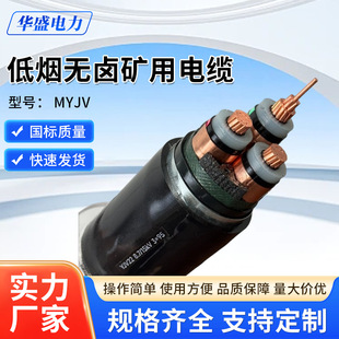�V����|�͟��o�uWD-MYJY23 MYJV22-6/10KV�߉��͉�1.8/3KV 6/6KV