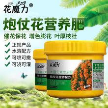 ���̻����àI�B�ʱ��ڻ�ͥԺ���Ա��ڻ��S�X���������ļ��B�o�÷�