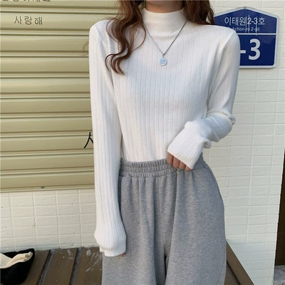 Autumn knitted sweater, Korean style, high collar, western style, fitted