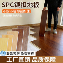 2026�h��spc�ذ���䁷��¸�������҃ȵ���h����ݷ�����