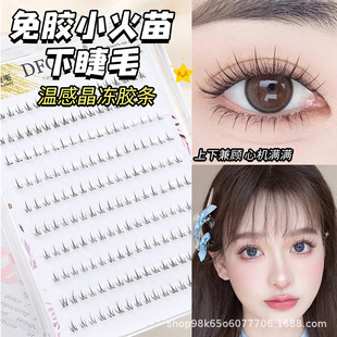 10�Ŵ��������zС�����½�ë��Ȼ�ֶη���ٽ�ë����͸�����ٽ�ë