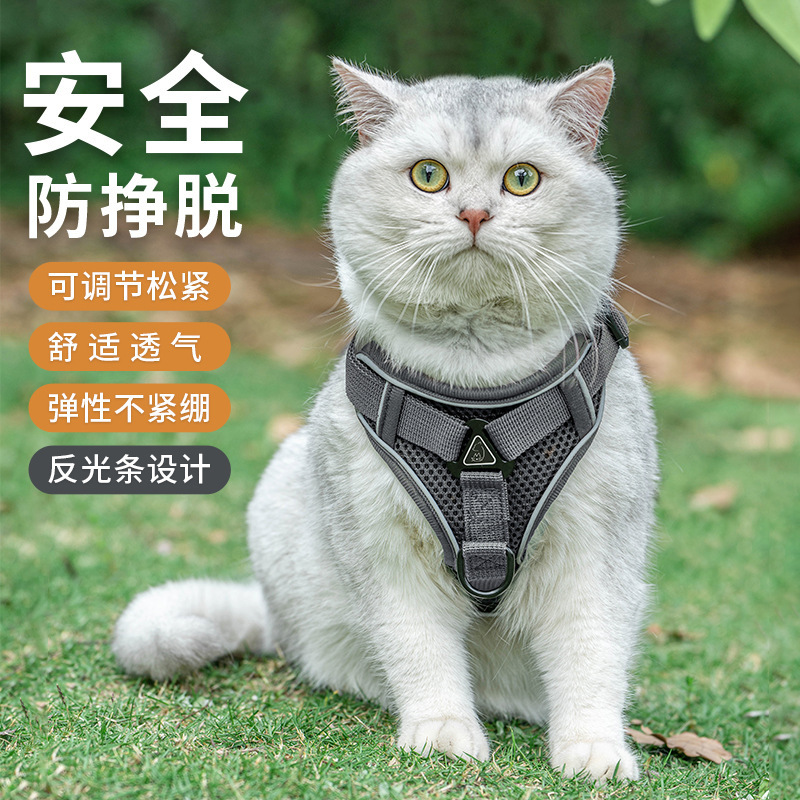 宠物日用牵引绳夜间反光防挣脱遛猫绳猫牵引绳猫猫透气胸背带|undefined