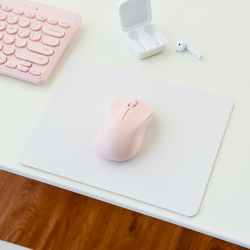 아이슬란드 화이트